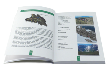 Libro formato tascabile a colori